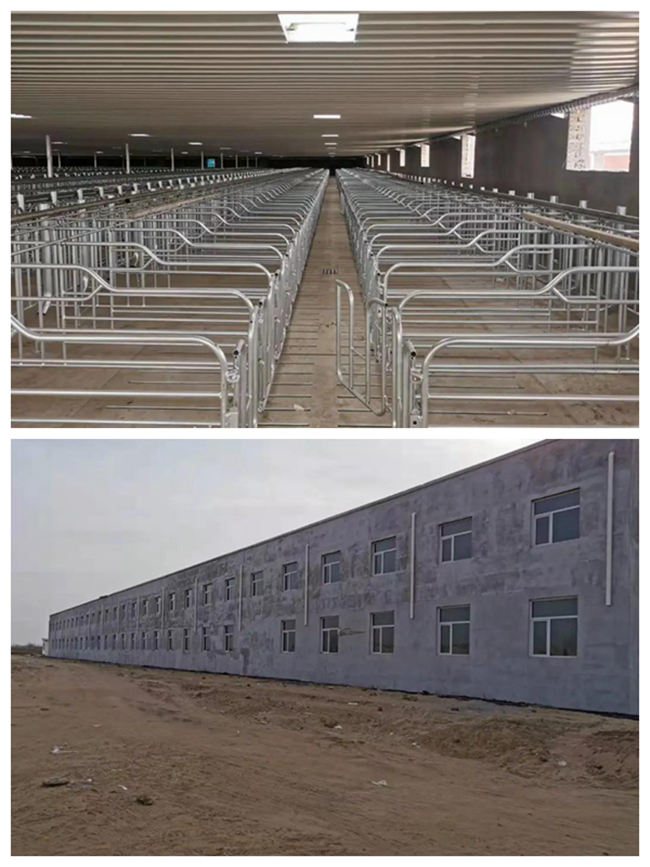 熟妇丰满多毛的大隂户