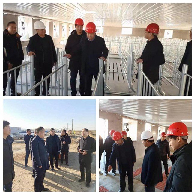 熟妇丰满多毛的大隂户