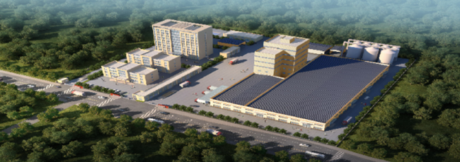 熟妇丰满多毛的大隂户