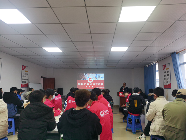 熟妇丰满多毛的大隂户