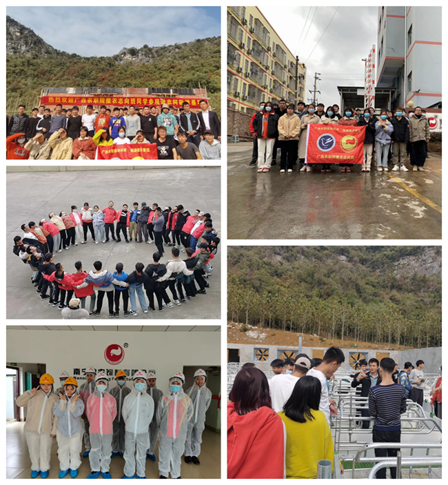 熟妇丰满多毛的大隂户