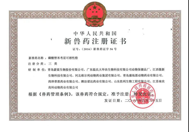 熟妇丰满多毛的大隂户