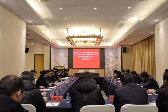 熟妇丰满多毛的大隂户