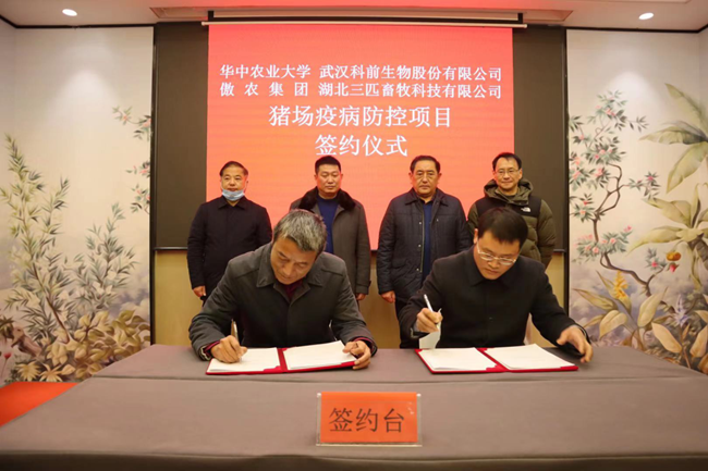 熟妇丰满多毛的大隂户