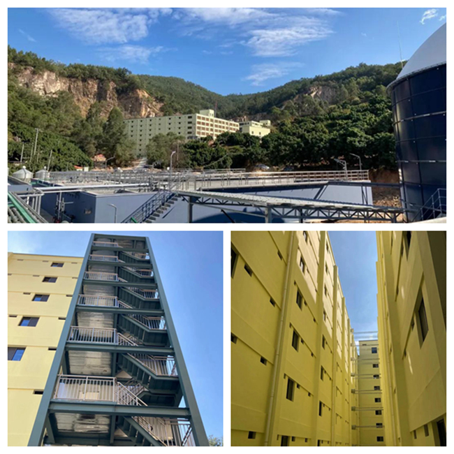 熟妇丰满多毛的大隂户