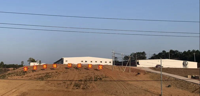 熟妇丰满多毛的大隂户