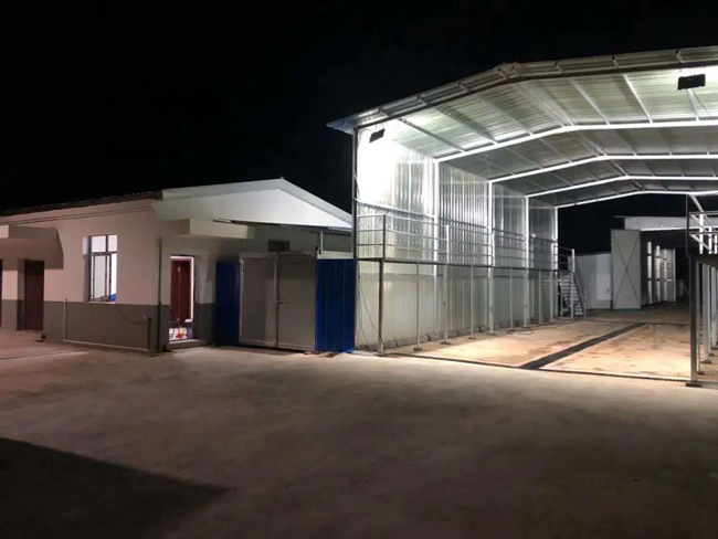 熟妇丰满多毛的大隂户