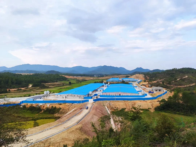 熟妇丰满多毛的大隂户