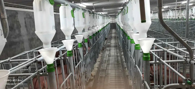 熟妇丰满多毛的大隂户