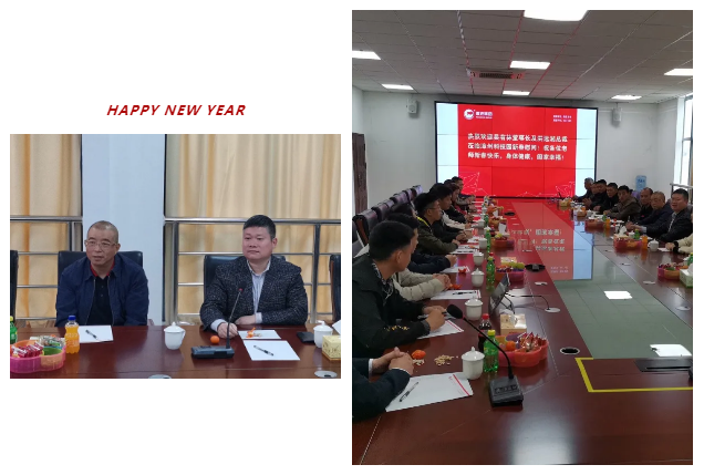 熟妇丰满多毛的大隂户