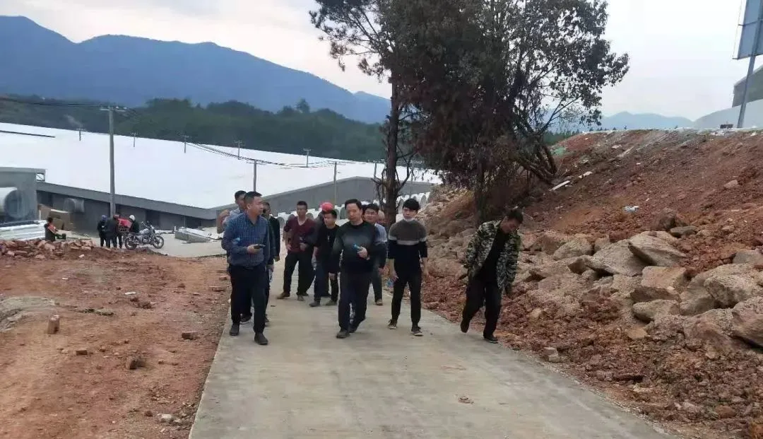 熟妇丰满多毛的大隂户