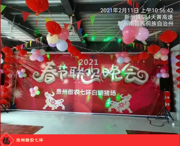 熟妇丰满多毛的大隂户