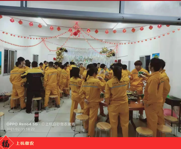 熟妇丰满多毛的大隂户