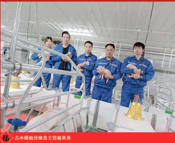 熟妇丰满多毛的大隂户