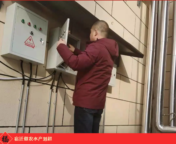 熟妇丰满多毛的大隂户