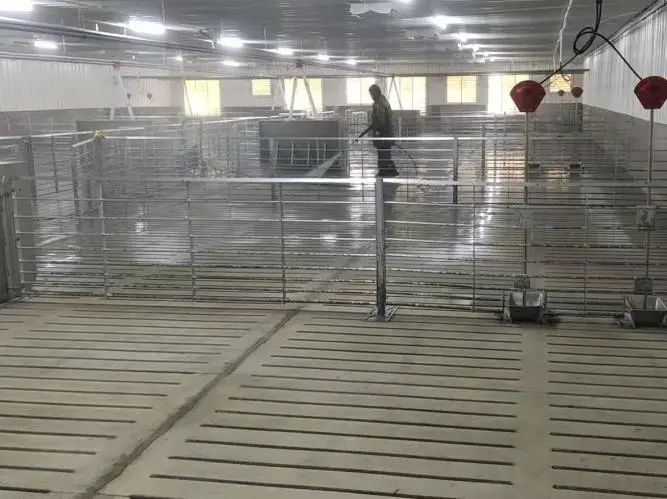 熟妇丰满多毛的大隂户