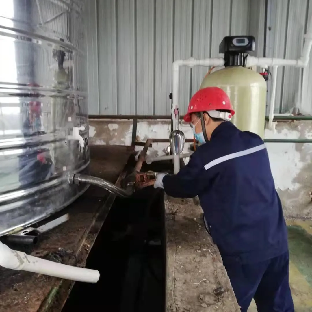 熟妇丰满多毛的大隂户