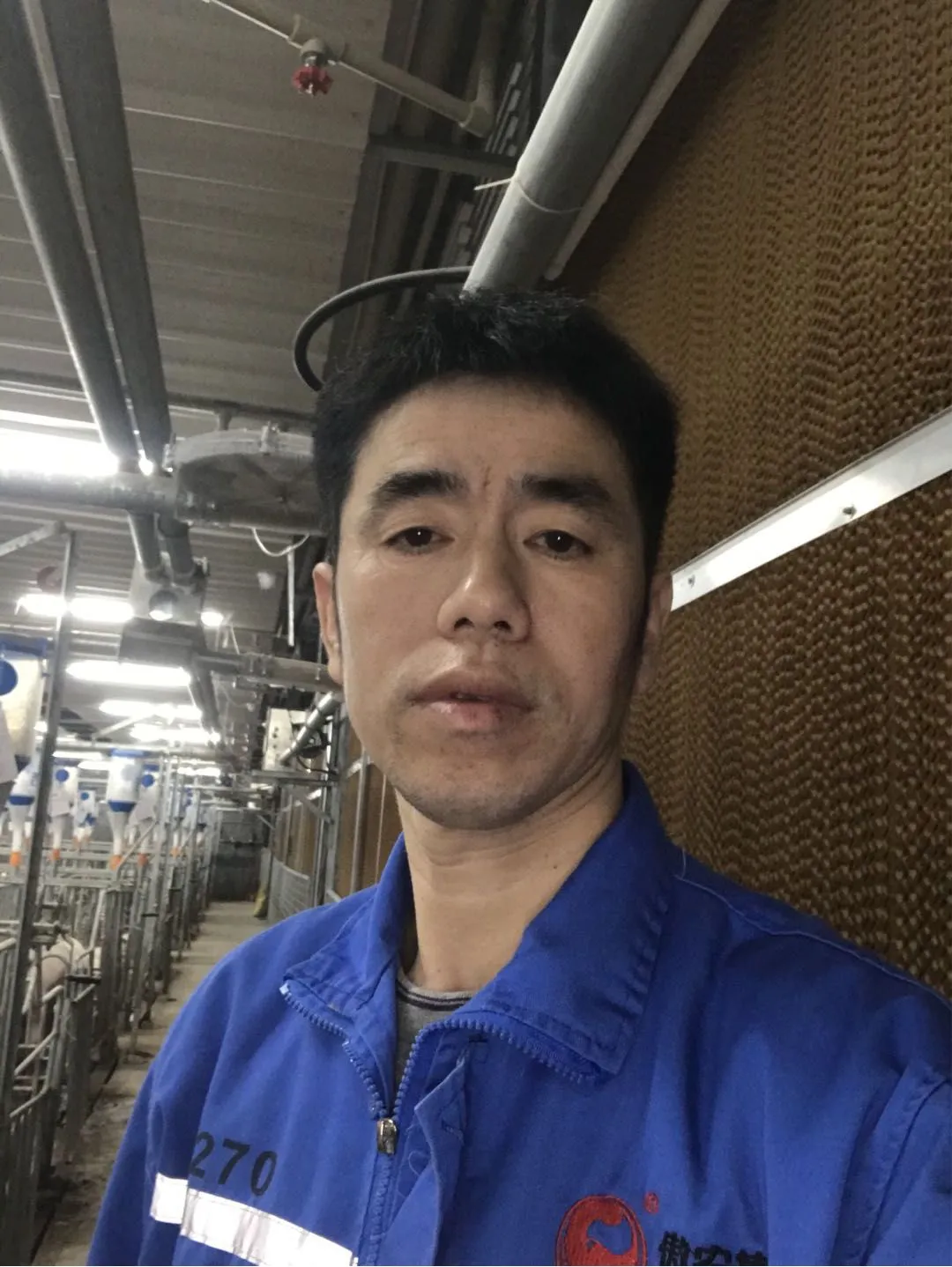 熟妇丰满多毛的大隂户