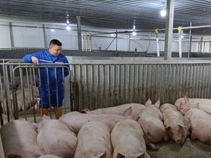 熟妇丰满多毛的大隂户