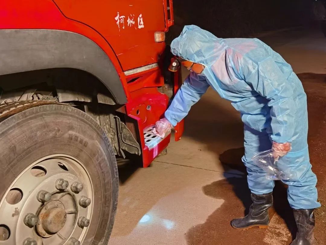 熟妇丰满多毛的大隂户