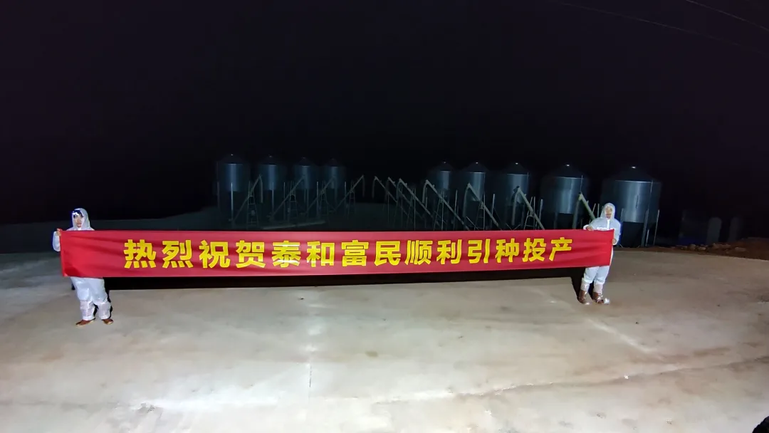 熟妇丰满多毛的大隂户