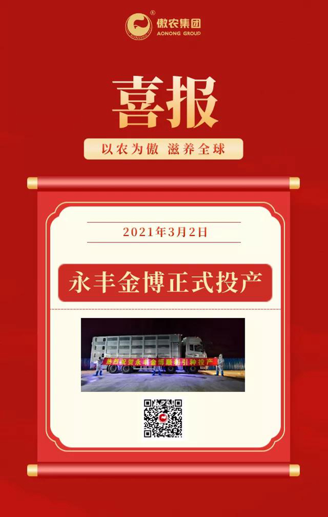 熟妇丰满多毛的大隂户