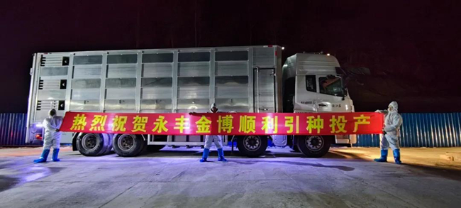 熟妇丰满多毛的大隂户