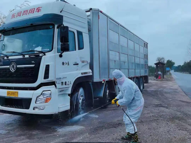 熟妇丰满多毛的大隂户