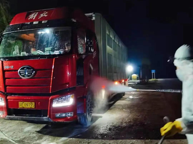 熟妇丰满多毛的大隂户