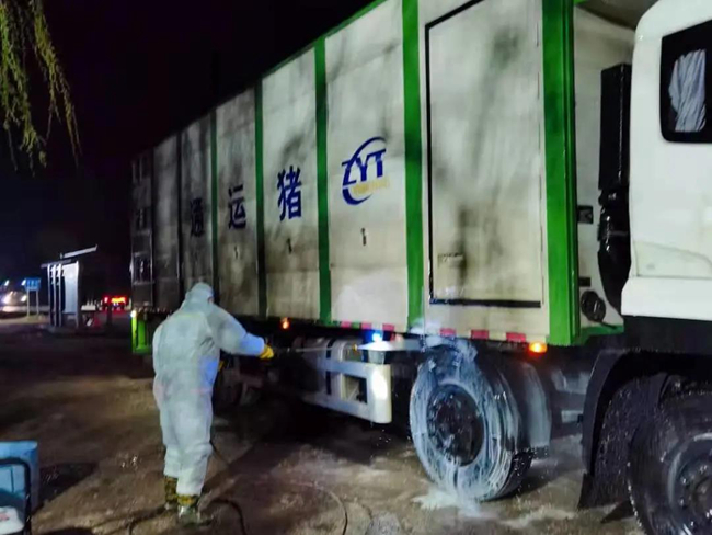 熟妇丰满多毛的大隂户