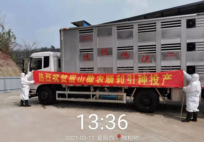 熟妇丰满多毛的大隂户