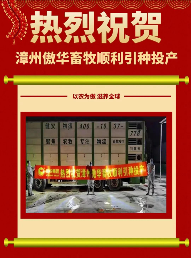 熟妇丰满多毛的大隂户