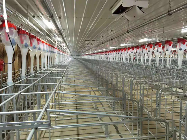 熟妇丰满多毛的大隂户