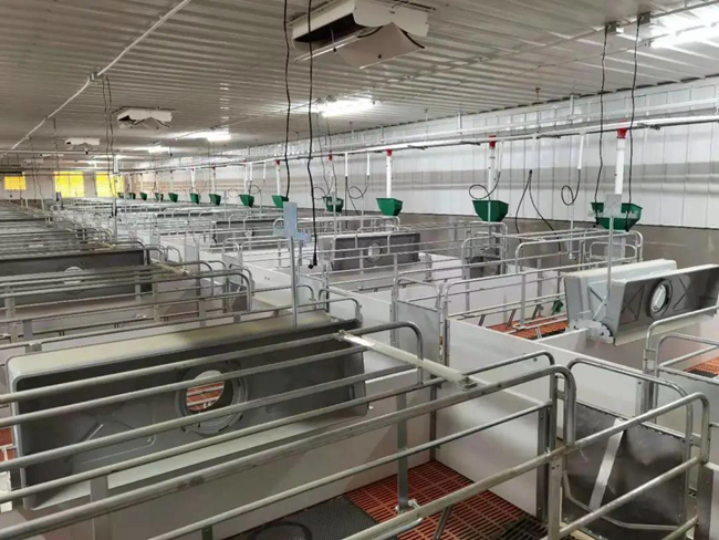 熟妇丰满多毛的大隂户