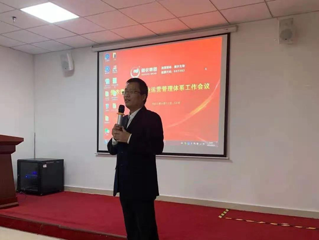 熟妇丰满多毛的大隂户