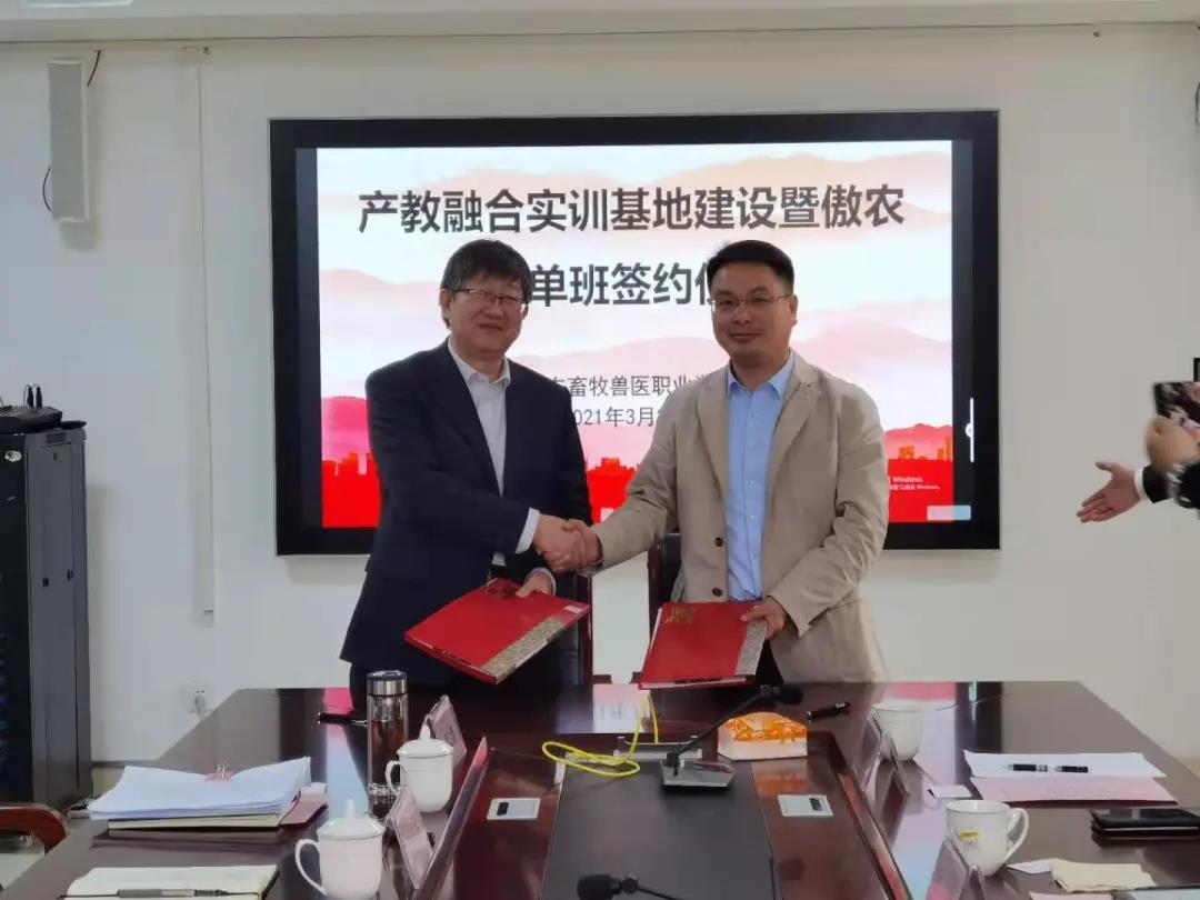 熟妇丰满多毛的大隂户