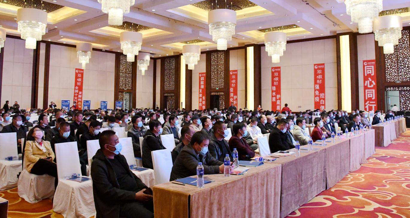 熟妇丰满多毛的大隂户