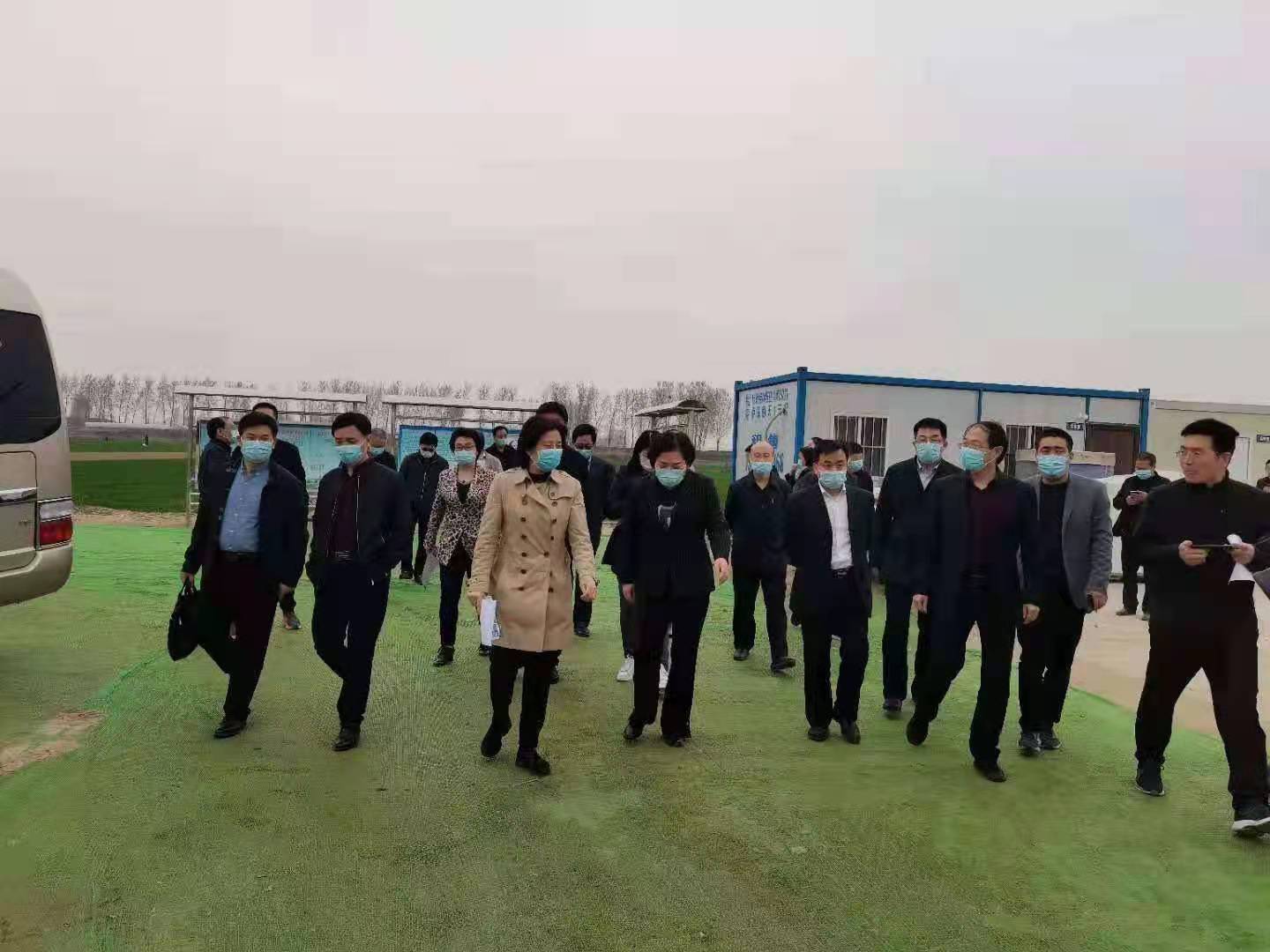 熟妇丰满多毛的大隂户