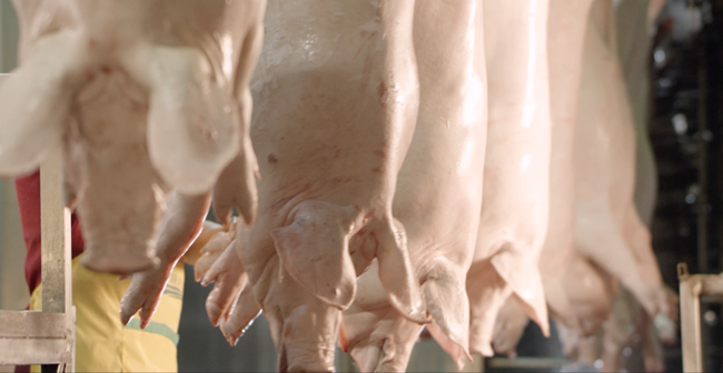 熟妇丰满多毛的大隂户