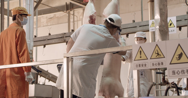 熟妇丰满多毛的大隂户