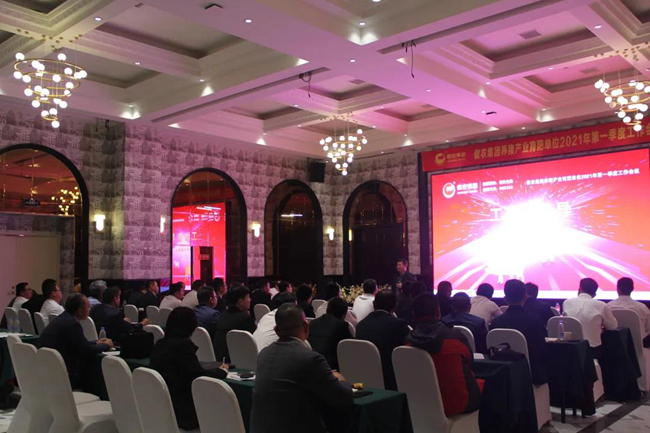 熟妇丰满多毛的大隂户