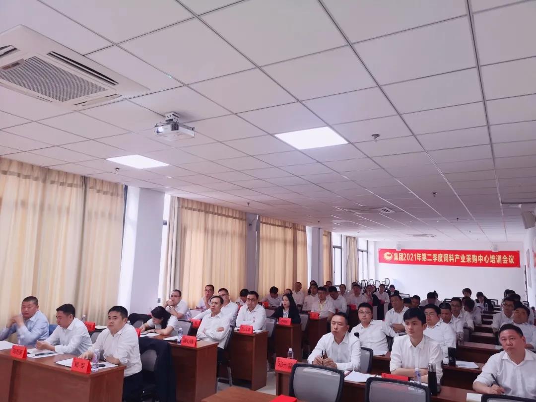 熟妇丰满多毛的大隂户