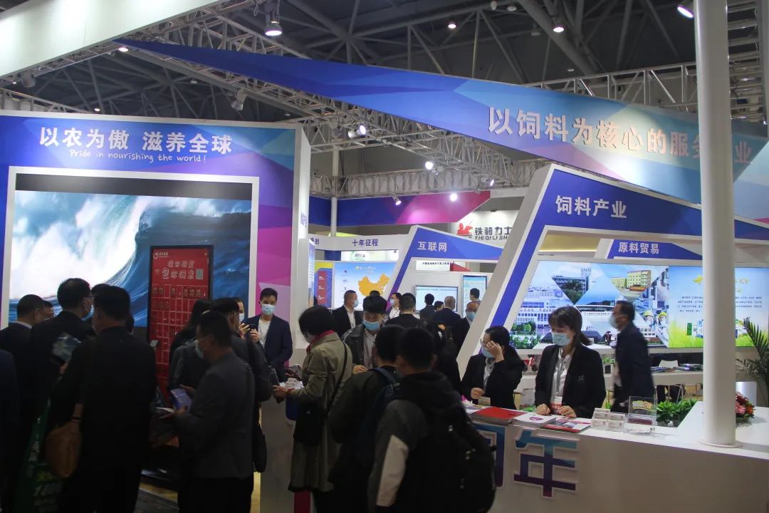 熟妇丰满多毛的大隂户