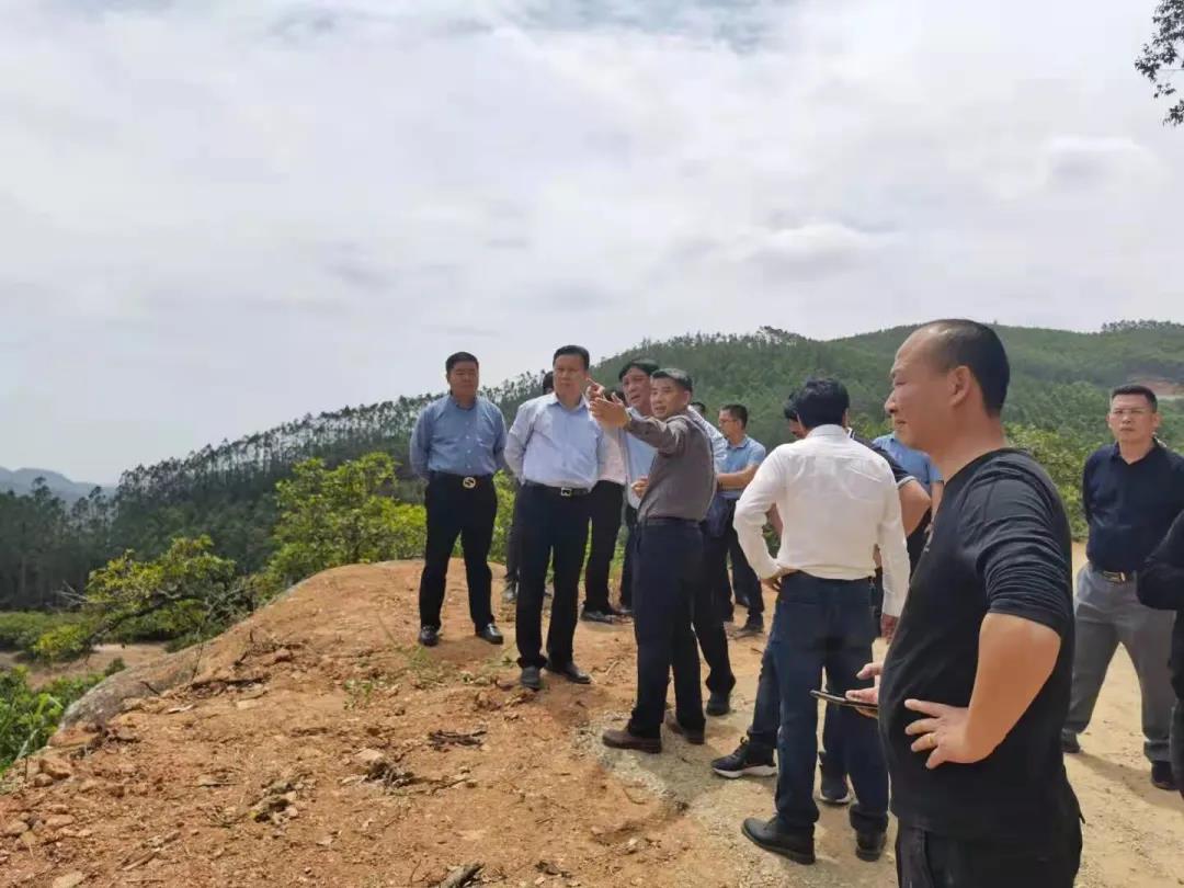 熟妇丰满多毛的大隂户