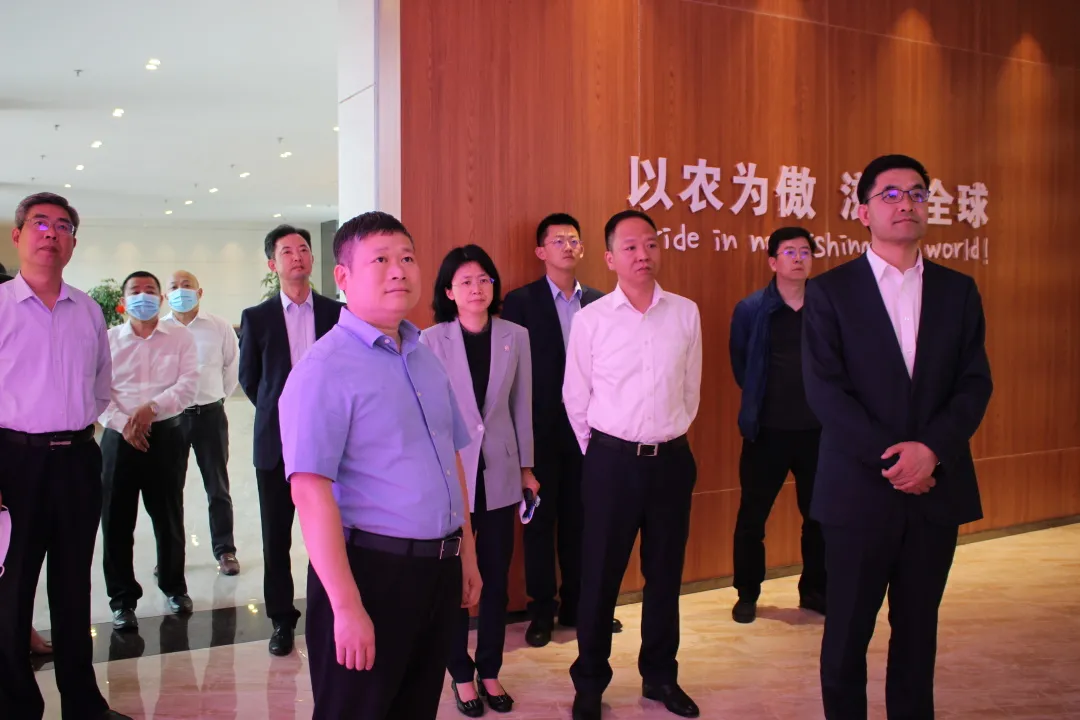 熟妇丰满多毛的大隂户