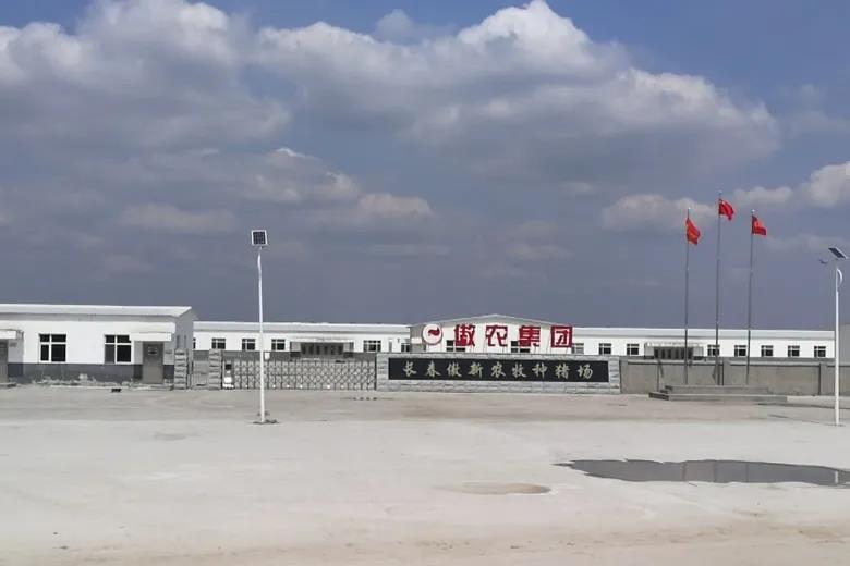 熟妇丰满多毛的大隂户