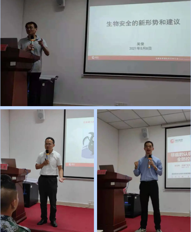 熟妇丰满多毛的大隂户