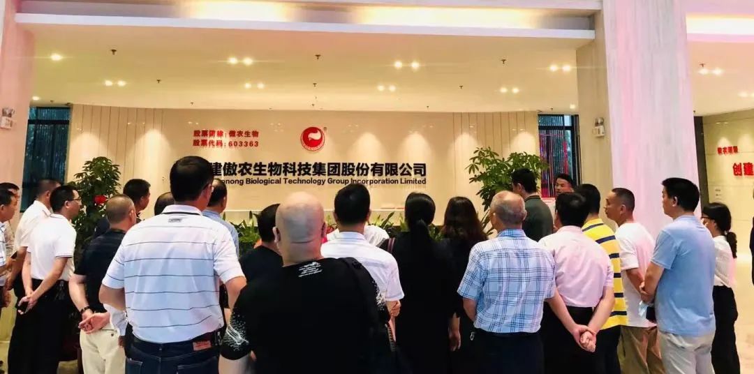 熟妇丰满多毛的大隂户