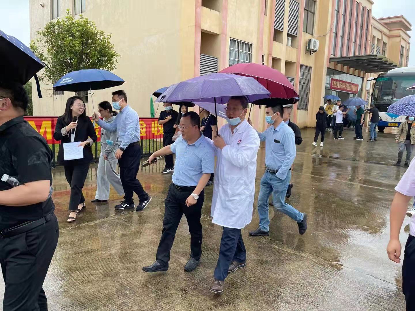 熟妇丰满多毛的大隂户