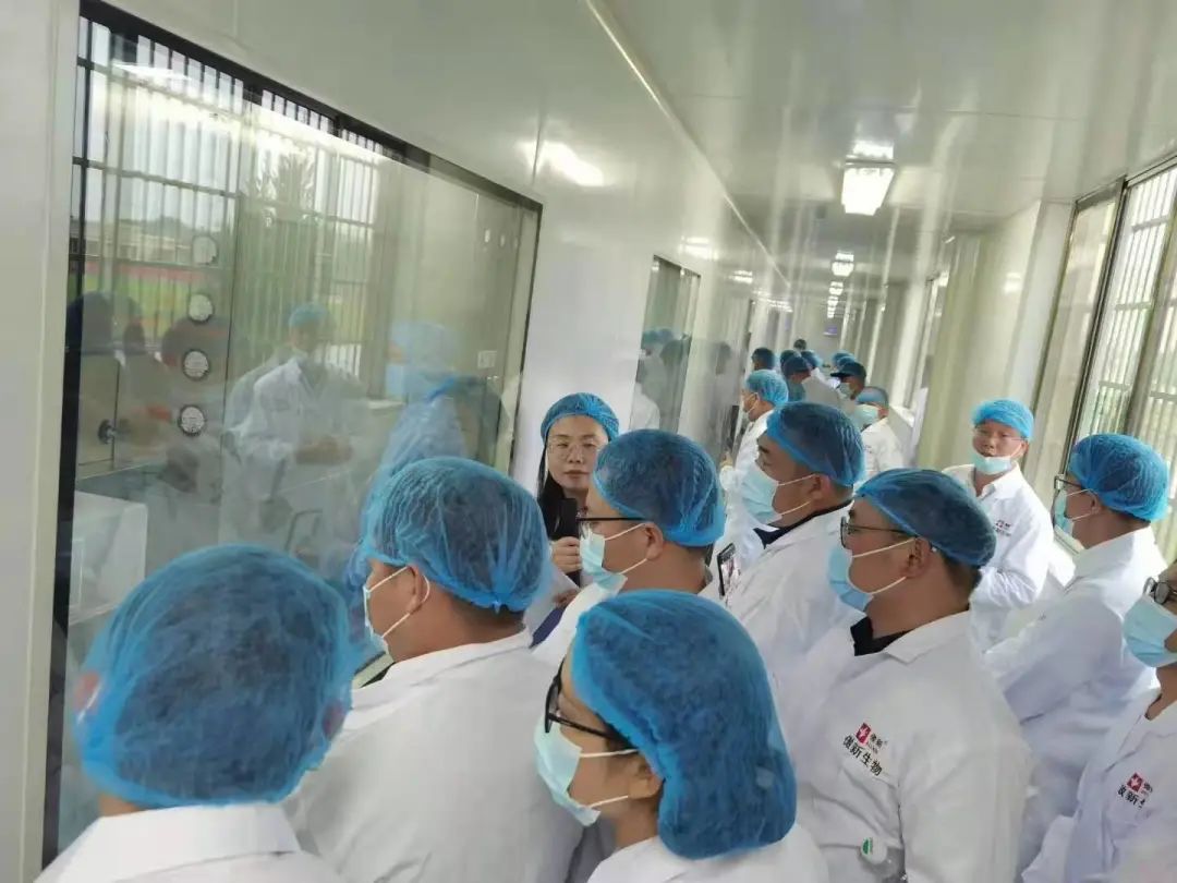 熟妇丰满多毛的大隂户